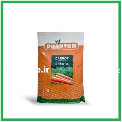 فروش بذر هویج سنیوریتا فانتوم در شیراز در گروه خرید و فروش بذر هویج در یکمیوه -عکس1