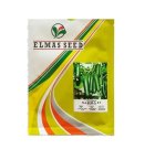 فروش بذر خیار مگا صحرا بذر در شیراز در گروه خرید و فروش بذر خیار در یکمیوه