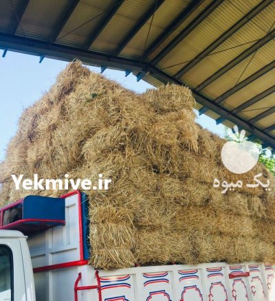 دی کلسیم فسفات در گروه خرید و فروش کود فسفات در یکمیوه -عکس4