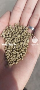 گوگرد گرانوله سبزینه مارال در اهواز در گروه خرید و فروش کود گرانوله در یکمیوه
