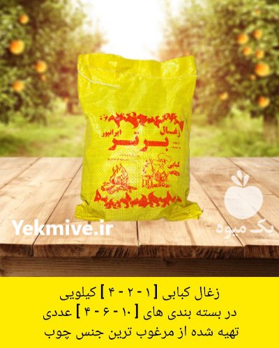 زغال کبابی بسته بندی در رشت در گروه خرید و فروش زغال در یکمیوه -عکس2