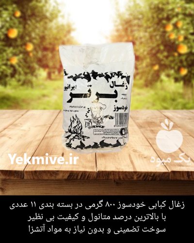 زغال کبابی بسته بندی در رشت در گروه خرید و فروش زغال در یکمیوه -عکس3