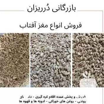 فروش مغز تخمه آفتابگردان روغن آفتابگردان در تهران در گروه خرید و فروش انواع تخمه در یکمیوه -عکس1