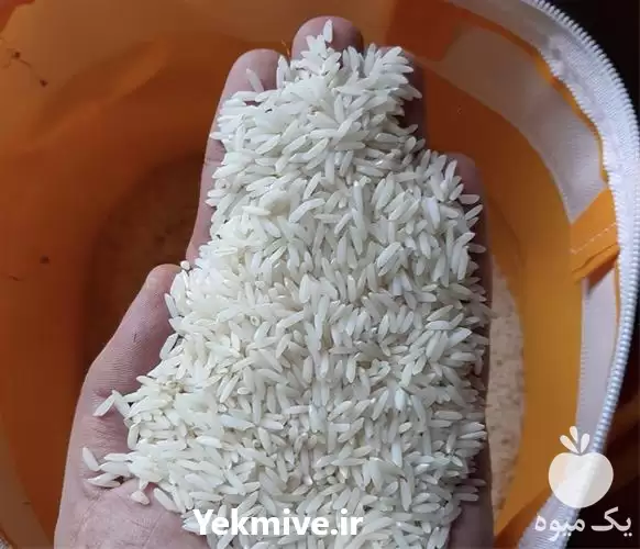 برنج طارم هاشمی اعلا در تهران در گروه خرید و فروش برنج در یکمیوه -عکس1