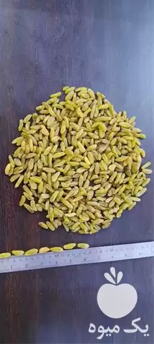 قیمت خرید مستقیم کشمش سبز درب در مشهد در گروه خرید و فروش آجیل در یکمیوه -عکس1