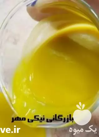 فروش پوره انبه وارداتی هندی در گروه خرید و فروش انبه در یکمیوه -عکس1