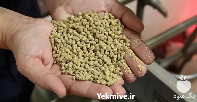 فروش دان کبک خوراک ویژه کبک در گروه خرید و فروش انواع پرنده در یکمیوه -عکس1