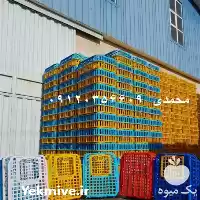 قیمت خرید سبد حمل مرغ زنده در تهران در گروه خرید و فروش انواع سبد در یکمیوه