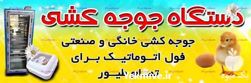 فروش دستگاه جوجه کشی با ظرفیت در گروه تجهیزات مرغداری در یکمیوه -عکس1