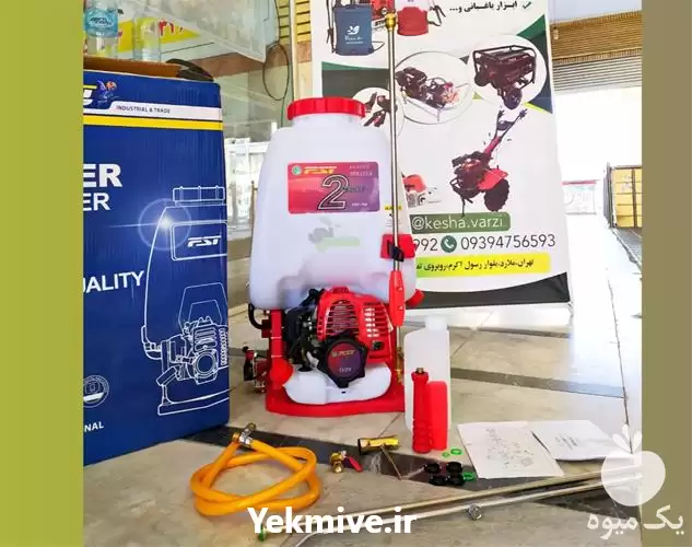 قیمت خرید سمپاش موتوری fst در کرج در گروه خرید و فروش سمپاش در یکمیوه -عکس1