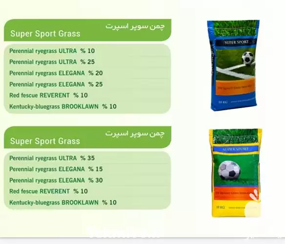 فروش بذر چمن سوپر اسپرت هلند در کرج در گروه خرید و فروش بذر چمن در یکمیوه -عکس1