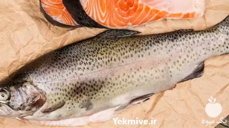 آموزش پرورش ماهیان گرم آبی سرد در گروه دوره آموزش کشاورزی در یکمیوه -عکس1