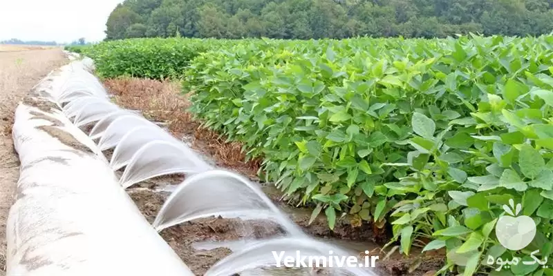 قیمت خرید تولید نایلون های آبیاری در اصفهان در گروه خرید و فروش دستگاه آبیاری در یکمیوه -عکس1
