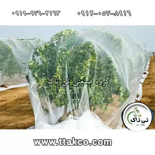 فروش توری ضد سرما باغ ها در تهران در گروه خرید و فروش توری گلخانه در یکمیوه -عکس1