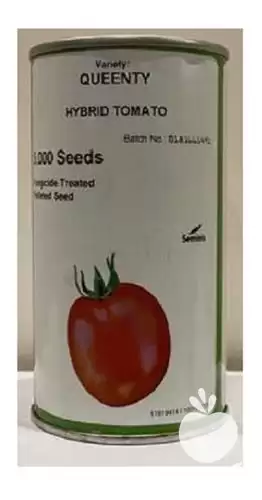 فروش بذر گوجه فرنگی کوینتی سمینیس در یزد در گروه خرید و فروش بذر گوجه در یکمیوه -عکس1