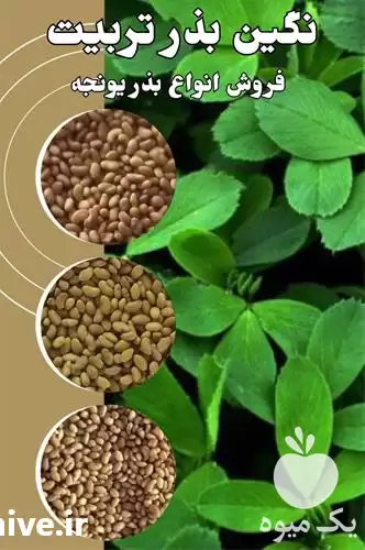 قیمت خرید بذر یونجه اعلا در سمنان در گروه خرید و فروش بذر یونجه در یکمیوه -عکس1