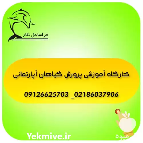 دوره آموزشی عملی گل و گیاه در گروه دوره آموزش کشاورزی در یکمیوه -عکس1