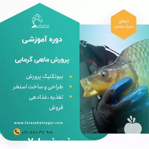 دوره آموزشی پرورش ماهی گرمابی در تهران در گروه دوره آموزش کشاورزی در یکمیوه -عکس1