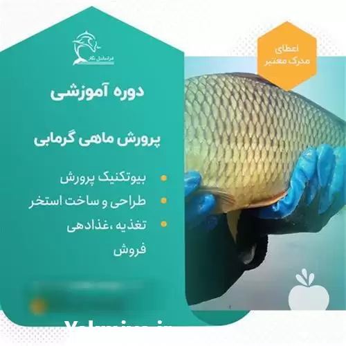 دوره آموزشی پرورش ماهی کپور در تهران در گروه دوره آموزش کشاورزی در یکمیوه -عکس1