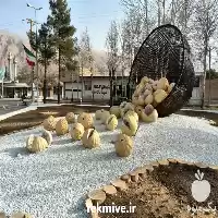 قیمت خرید انجیر استهبان در شیراز در گروه خرید و فروش انجیر در یکمیوه