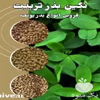قیمت خرید بذر یونجه اعلا در سمنان در گروه خرید و فروش بذر یونجه در یکمیوه
