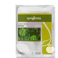 فروش بذر هندوانه زودرس باراکا سینجنتا در کرمان  در گروه خرید و فروش بذر هندوانه در یکمیوه