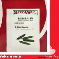 فروش عرضه بذر خیار بومبای در کرمان  در گروه خرید و فروش بذر خیار در یکمیوه