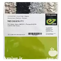 فروش بذر خیار ناگین محصول گلخانه در کرمان  در گروه خرید و فروش بذر خیار در یکمیوه