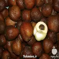 فروش نهال میوه اسنیک در ساری در گروه خرید و فروش نهال میوه در یکمیوه