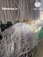 فروش انواع پوشال های صادراتی میوه در مشهد در گروه انواع بسته بندی محصول در یکمیوه