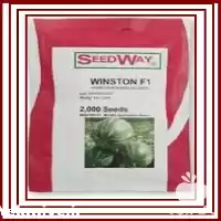 فروش بذر هندوانه وینستون در گروه خرید و فروش بذر هندوانه در یکمیوه