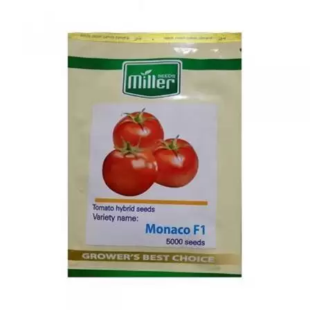 عرضه و فروش بذر گوجه فرنگی در هرمز در گروه خرید و فروش بذر گوجه در یکمیوه -عکس1