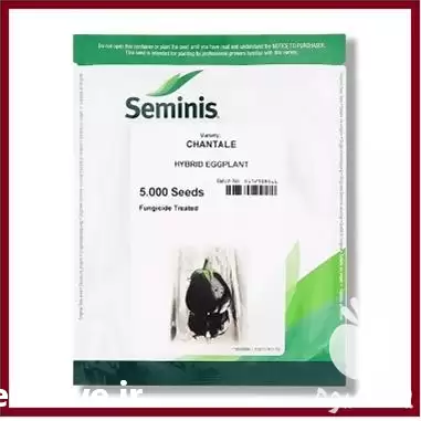 فروش بذر بادمجان CHANTALE سیمینس آمریکا در هرمز در گروه خرید و فروش بذر بادمجان در یکمیوه -عکس1