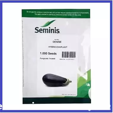 فروش بذر بادمجان لامپی دنیز سمینیس در هرمز در گروه خرید و فروش بذر بادمجان در یکمیوه -عکس1