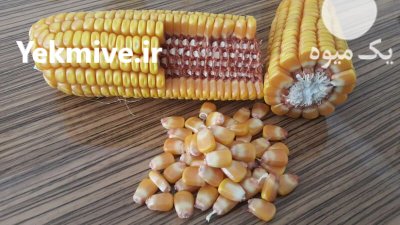 چوب بلال تازه در کرمانشاه در گروه خرید و فروش انواع چوب در یکمیوه -عکس2