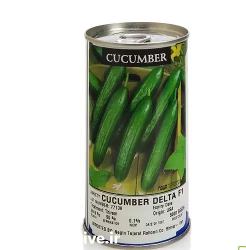 فروش بذر خیار اینفینیتی سیدز دلتا در یزد در گروه خرید و فروش بذر خیار در یکمیوه -عکس1