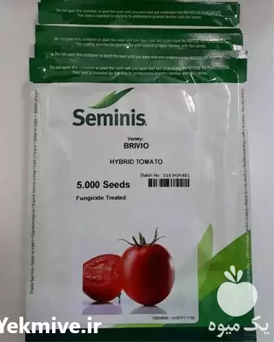فروش ارزان بذر گوجه هیبرید بریویو در گروه خرید و فروش بذر گوجه در یکمیوه -عکس1