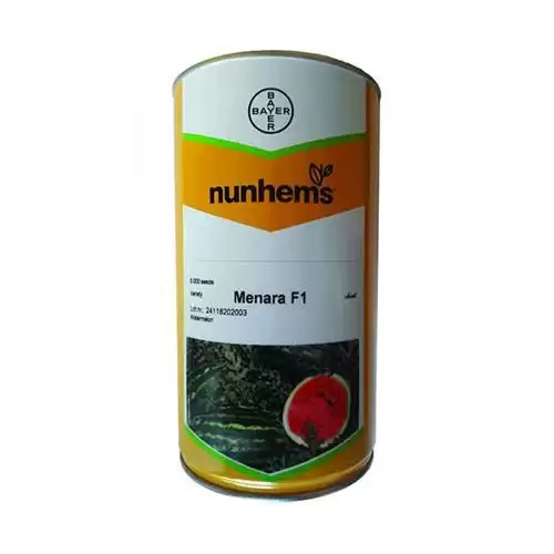 فروش بذر هندوانه من ارا در تهران در گروه خرید و فروش بذر هندوانه در یکمیوه -عکس1