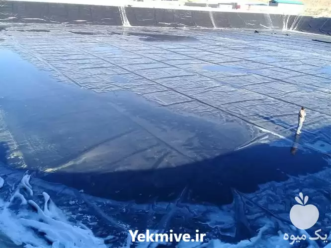قیمت خرید اجرای استخر پلیمری در گروه خرید و فروش استخر کشاورزی در یکمیوه -عکس1