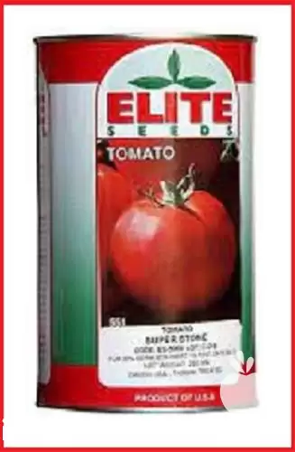 قیمت خرید بذر گوجه فرنگی الیت در گروه خرید و فروش بذر گوجه در یکمیوه -عکس1