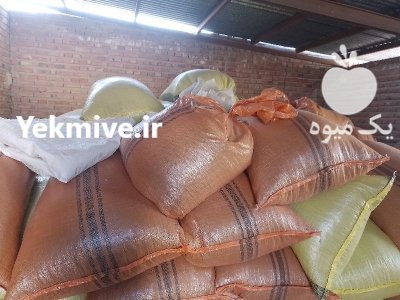 تخمه آفتابگردان در تبریز در گروه خرید و فروش انواع تخمه در یکمیوه -عکس2