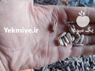 تخمه آفتابگردان در تبریز در گروه خرید و فروش انواع تخمه در یکمیوه -عکس3