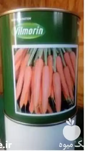 فروش قیمت بذر هویج پریستو محصول در شیراز در گروه خرید و فروش انواع بذر در یکمیوه -عکس1