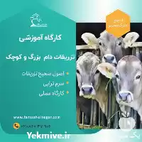 دوره آموزشی تزریقات صحیح اصولی در تهران