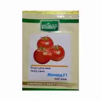 عرضه و فروش بذر گوجه فرنگی در هرمز در گروه خرید و فروش بذر گوجه در یکمیوه