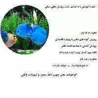 قیمت خرید آموزشگاه تکثیر پرورش ماهی در تهران