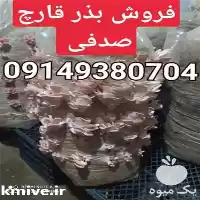 خرید بذر قارچ دکمه ای در تهران در گروه خرید و فروش قارچ در یکمیوه