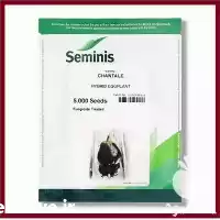 فروش بذر بادمجان CHANTALE سیمینس آمریکا در هرمز در گروه خرید و فروش بذر بادمجان در یکمیوه