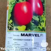 فروش ارزان بذر گوجه مارول در همدان در گروه خرید و فروش بذر گوجه در یکمیوه