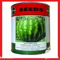 فروش بذر هندوانه خطی ناسکو در گروه خرید و فروش بذر هندوانه در یکمیوه